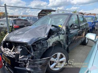 Nissan Qashqai Qashqai (J10), SUV, 2007 / 2014 2.0 16V picture 1