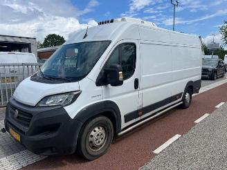skadebil bedrijf Fiat Ducato 2.3 MJ 103KW MAXI L4H2 KOELING TIEFKUHLUNG -18GR  KLIMA 2021/9