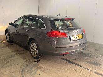 Opel Insignia SPORTS TOURER 1.6 Turbo 16V Ecotec Combi/o  Benzine 1.598cc 132kW (179pk) FWD picture 7