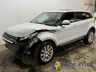 Land Rover Range Rover Evoque  picture 3