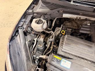 Volkswagen Golf 1.4 TSI 16V Hatchback picture 6