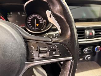 Alfa Romeo Stelvio 2.0 T AWD Super Business Edition Q4 picture 18