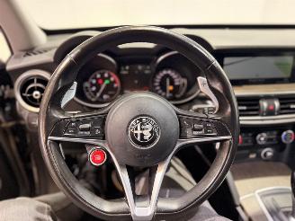 Alfa Romeo Stelvio 2.0 T AWD Super Business Edition Q4 picture 17