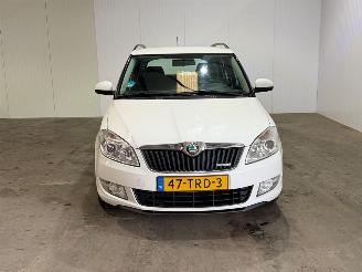 Skoda Fabia 1.2 TDI Greenline picture 4