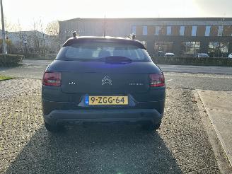 Citroën C4 cactus 1.6 BlueHDi Business picture 5