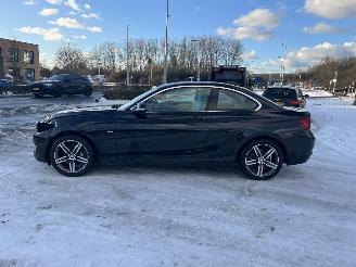 BMW  220i High Executive picture 9