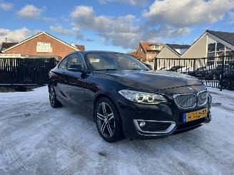 BMW  220i High Executive picture 1