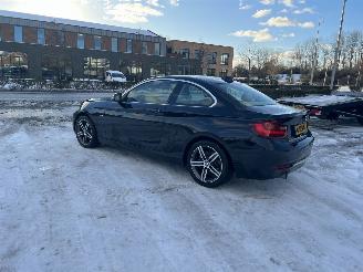 BMW  220i High Executive picture 10