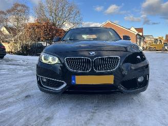 BMW  220i High Executive picture 3