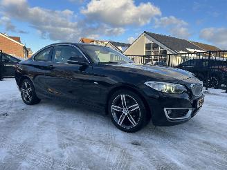 BMW  220i High Executive picture 4