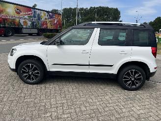 Skoda Yeti 1.4 TSI Greentech Adventure | panoramadak!! picture 10