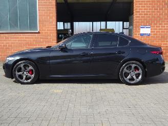 Alfa Romeo Giulia Super Business 2.2 JTD, Leer, Navi, Cruise & Climate picture 7