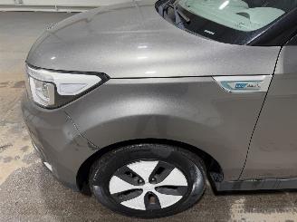 Kia Soul EV 27kWh 81kW ExecutiveLine DAB Stoel/Stuurverwarming picture 15