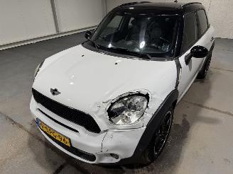 Mini Countryman 1.6 135kW Automaat Cooper S ALL4 CHILI picture 21