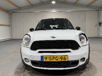 Mini Countryman 1.6 135kW Automaat Cooper S ALL4 CHILI picture 23