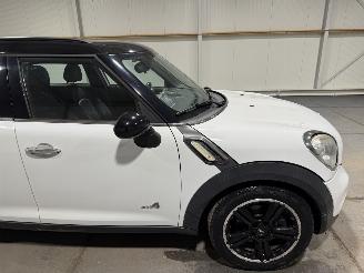 Mini Countryman 1.6 135kW Automaat Cooper S ALL4 CHILI picture 14
