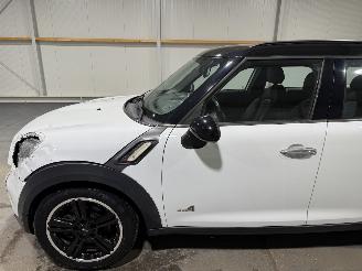 Mini Countryman 1.6 135kW Automaat Cooper S ALL4 CHILI picture 13