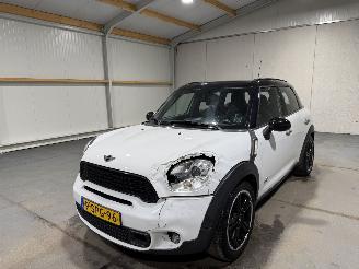 Mini Countryman 1.6 135kW Automaat Cooper S ALL4 CHILI picture 10