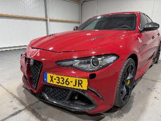 Alfa Romeo Giulia 2.9V6 375kW Automaat Quadrifoglio Sauber Engineering Carbon Pakket picture 24