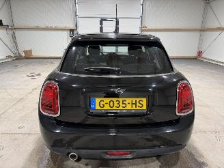 Mini Cooper 1.5 100kW Clima Stoelverwarming Chili picture 7
