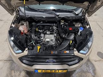Ford EcoSport 1.0EcoBoost 92kW Clima ST-Line picture 26