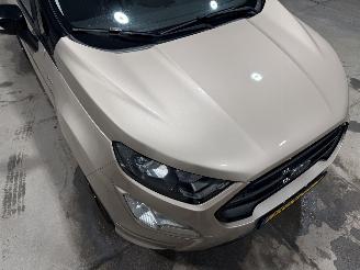 Ford EcoSport 1.0EcoBoost 92kW Clima ST-Line picture 19