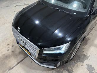 Audi Q2 2.0TDI 140kW Automaat Pano Quattro Pro Line S picture 21