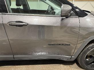 Jeep Compass 1.4 MultiAir 103kW Night Eagle picture 30