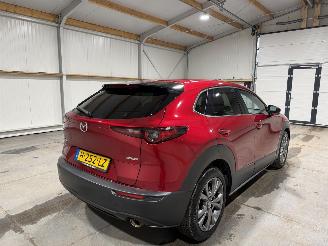 Mazda CX-30 2.0 E-SkyActiv-X 132kW M Hybrid Luxury picture 6
