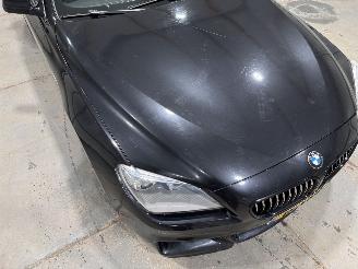 BMW 6-serie 640i 235kW Automaat High Executive picture 19