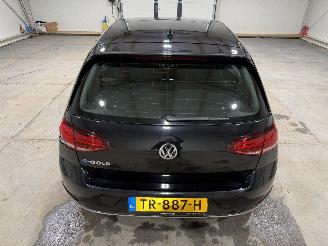 Volkswagen e-Golf 36kWh 100kW Camera Matrixled picture 20
