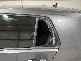 Volkswagen Golf 36kWh 100kW Egolf  Leder Camera picture 13