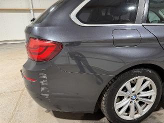 BMW 5-serie 528i 180kW Automaat High Executive picture 13