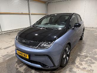 BYD Dolphin 60.4kWh 150kW Design picture 10