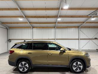 Damaged car Skoda Kodiaq 1.5TSI PHEV 110kW Business Edition 2025/4