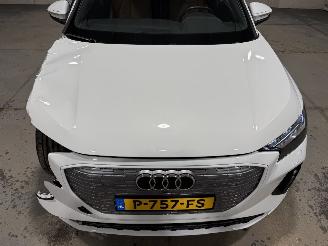 Audi Q4 E-Tron 77kWh 150kW 40 Launch Edition Advanced picture 20