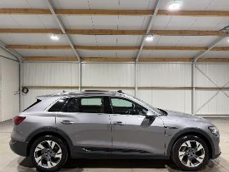 Unfallwagen Audi E-tron 50 71kWh 230kW Quattro Luchtvering S Edition Pano 2020/4