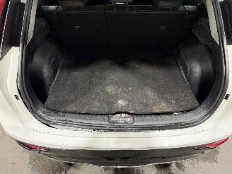 Kia e-Niro 64.8kWh 150kW EV Dynamicline picture 19