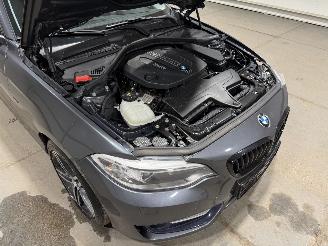 BMW 2-serie 220D Coupe 135kW Automaat Clima picture 18