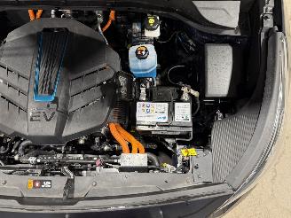 Kia e-Niro 64kWh 150kW DynamicPlusLine Schuifkanteldak picture 30