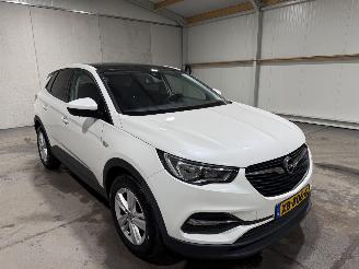 Opel Grandland X 1.2Turbo 96kW Online Edition picture 3