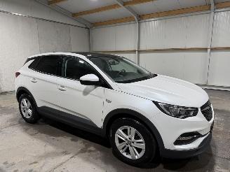 Opel Grandland X 1.2Turbo 96kW Online Edition picture 2