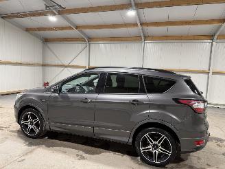 Ford Kuga 1.5EcoBoost 110kW ST Line picture 11
