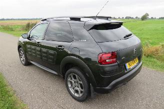 Citroën C4 cactus 1.2 Pure Tech Shine 11-2015  166.000km Nap Camera Airco picture 5
