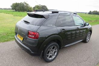 Citroën C4 cactus 1.2 Pure Tech Shine 11-2015  166.000km Nap Camera Airco picture 16