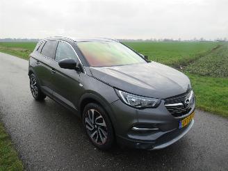 Vaurioauto  passenger cars Opel Grandland X 1.2 Turbo 131pk Innovation MPV  130.000km Navigatie Clima   2018 vol optie 2018/10