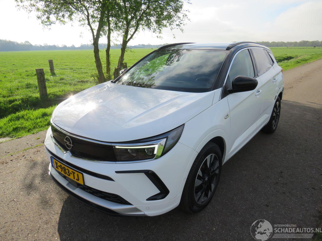 Opel Grandland 1.2  Turbo Automaat  131pk 40.000km 2024 Euro 6 MPV Camera Navigatie Clima