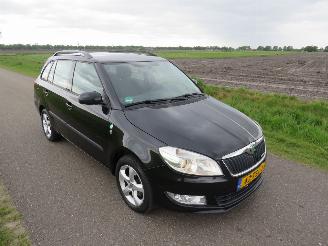 Skoda Fabia 1.2 TDi Greenline Business Line Navigatie Airco Climaat  2012 picture 16