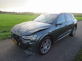 Audi E-tron 55 Quattro S Line Busines 450pk Elektrisch Mpv  Suv 2020-11 Topstaat 4x4 picture 10