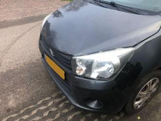 Suzuki Celerio  picture 3